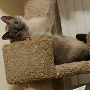 Meet your Posher, Felicity